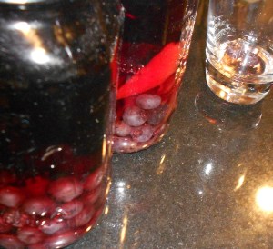 have glasswill travel