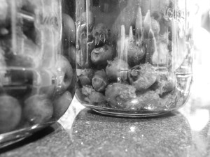 Floating Fruit + Vodka. Need I say more??