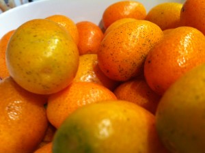 These are Kumquats