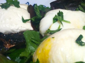 Can you see the hint of yellow? The joy - the JOY!