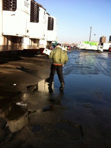 C's avoiding puddles in the parking lot